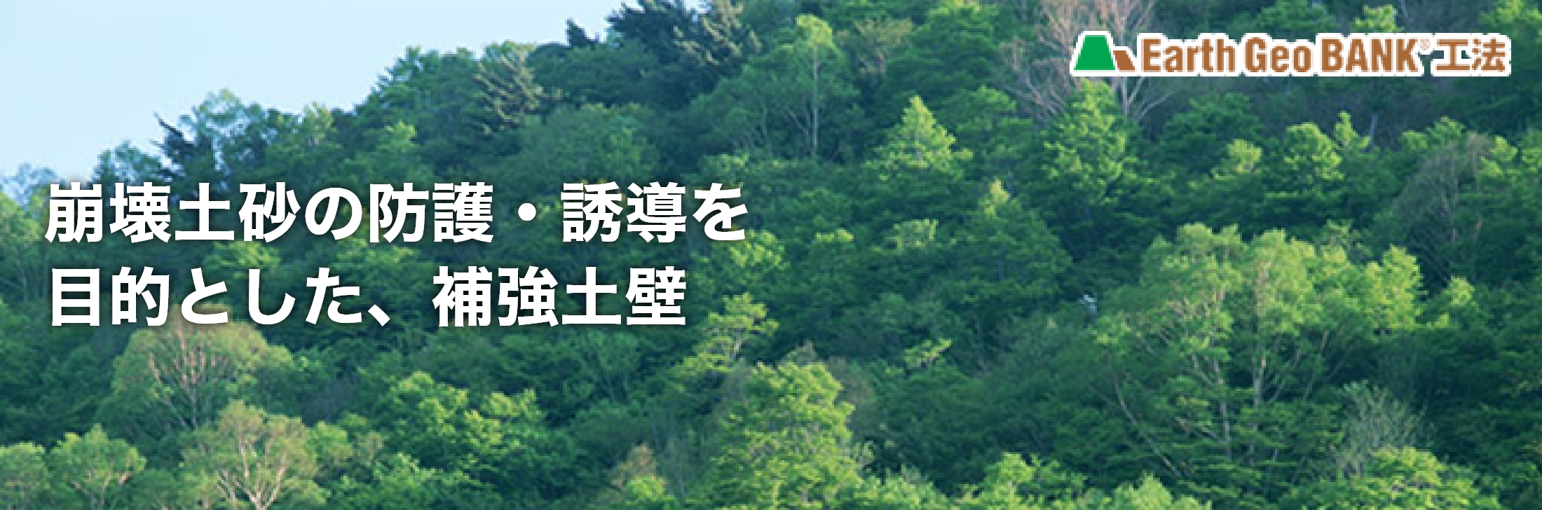 崩壊土砂の防護・誘導を目的とした、補強土壁