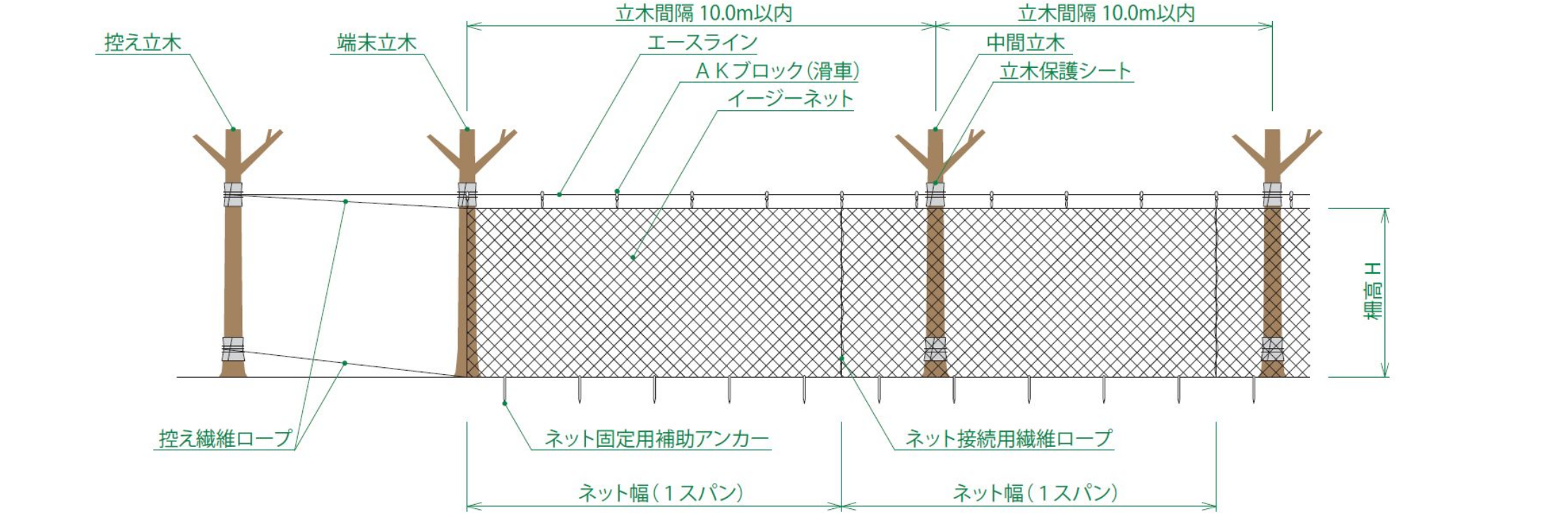 マルチタイプの構造図